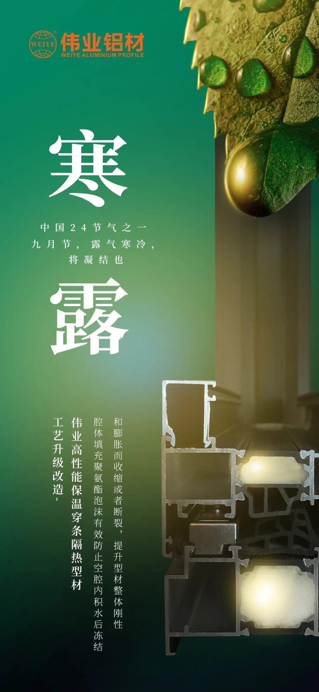 #寒露 九月节，露气寒冷，将凝固也 时光入深秋，岁月便深情